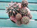 Small