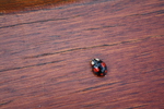 Small