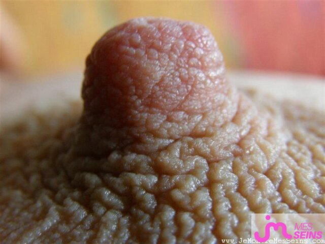 Photo des seins de Hotlips