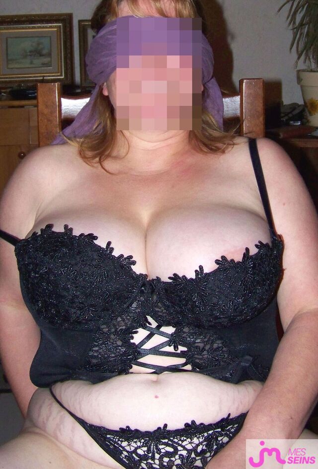 Photo des seins de Sylvie1