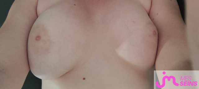 Les très gros seins de Seinslib