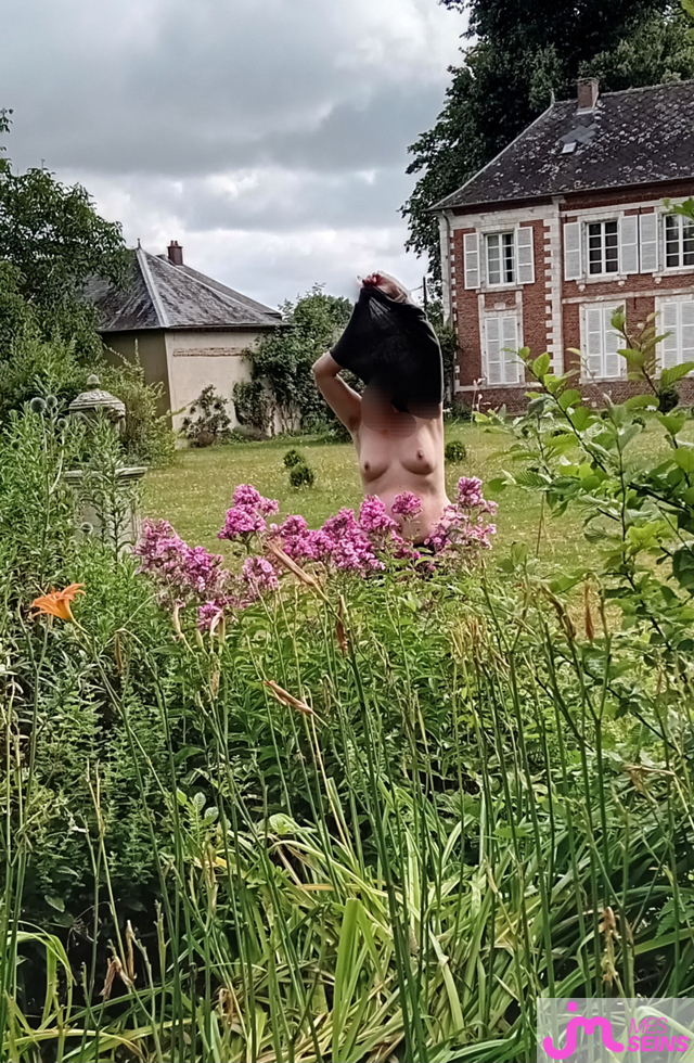Les seins moyens de Loloprada