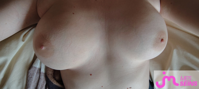 Les très gros seins de Seinslib