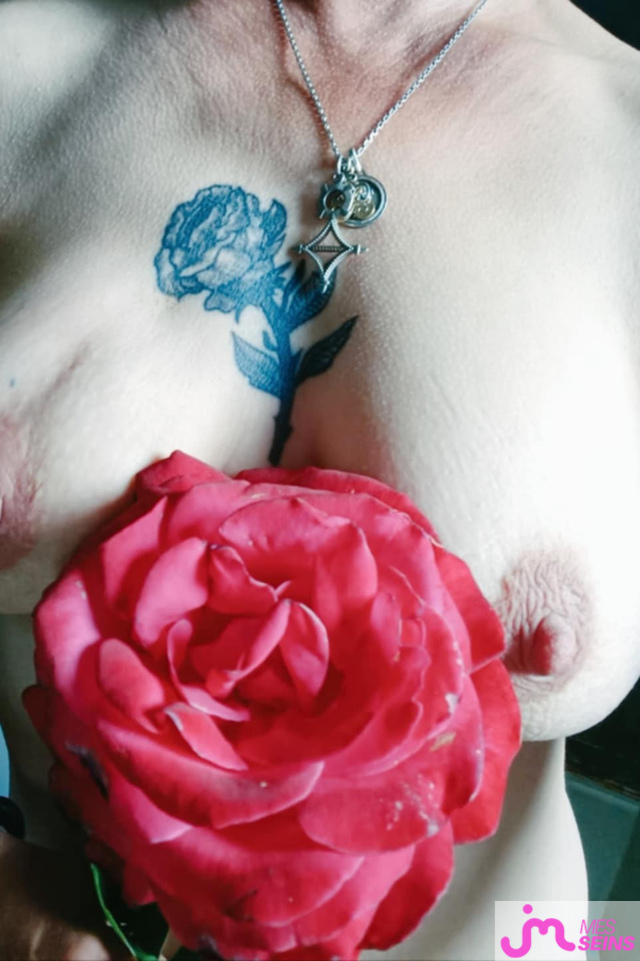 Les seins moyens de Chrine