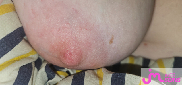 Les tr&egrave;s gros seins de Catwoman07 