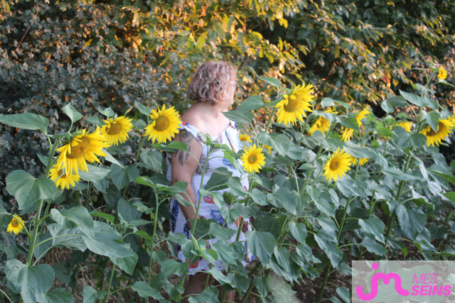 Les seins moyens de craquante