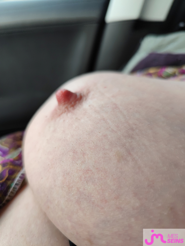 Les gros seins de V&eacute;rofleurs