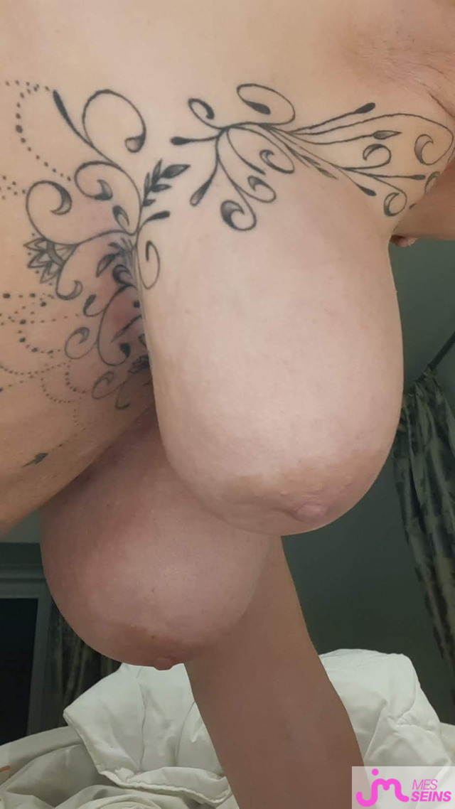 Les tr&egrave;s gros seins de Jenveux