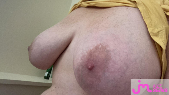 Les tr&egrave;s gros seins de Toudou03