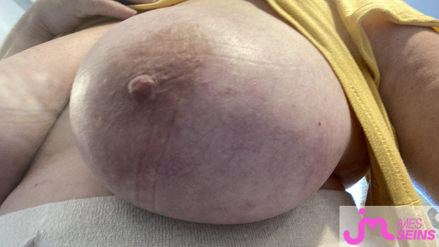 Photos de seins : Ses seins me rendent fou 4
