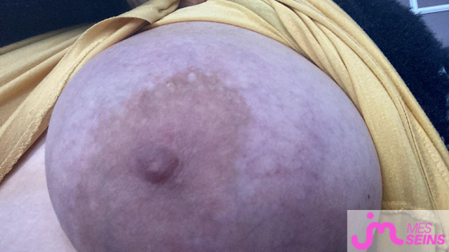 Les tr&egrave;s gros seins de Toudou03