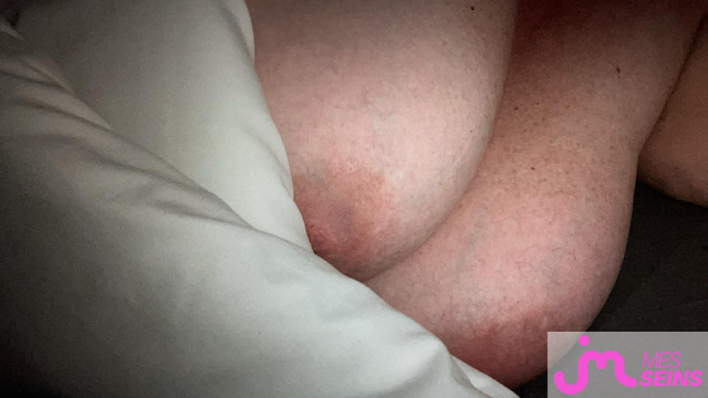 Les tr&egrave;s gros seins de Toudou03