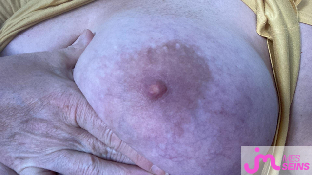 Les tr&egrave;s gros seins de Toudou03