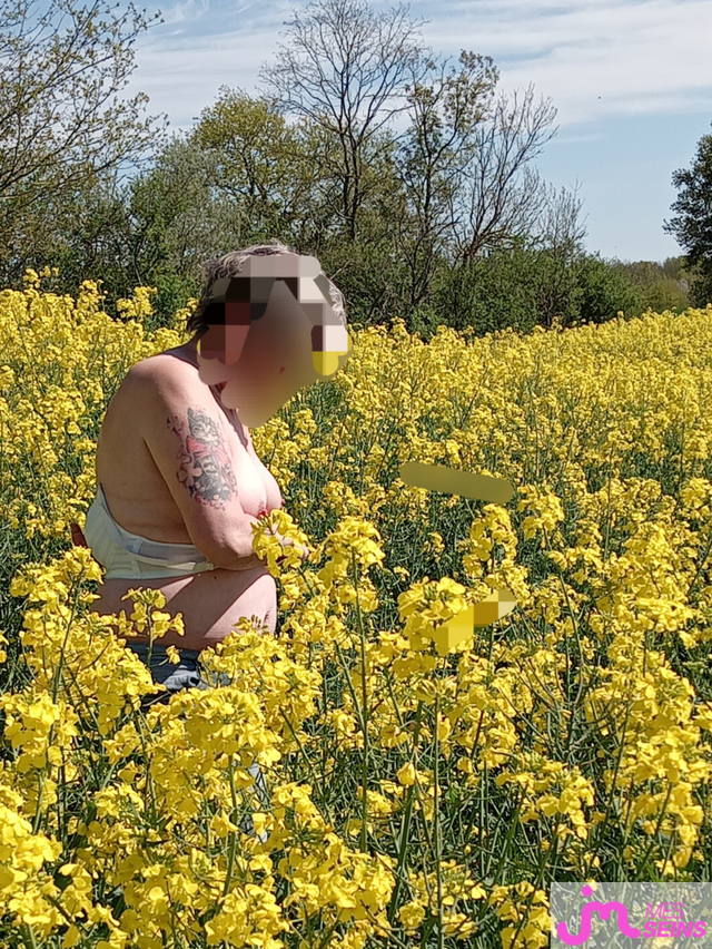 Les seins moyens de Loloprada