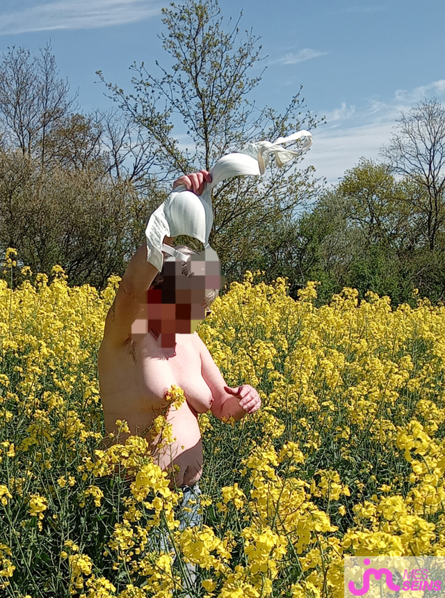 Les seins moyens de Loloprada