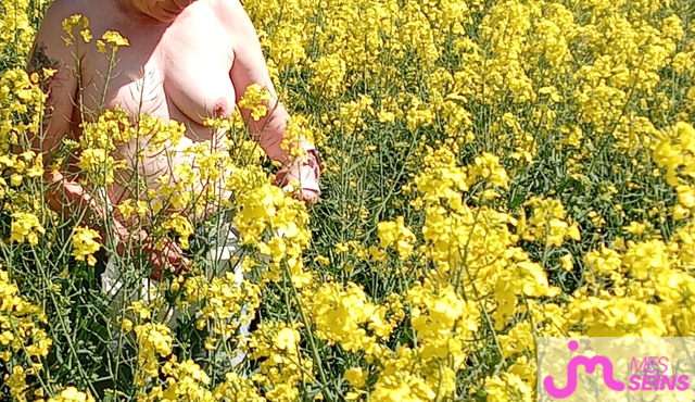 Les seins moyens de Loloprada