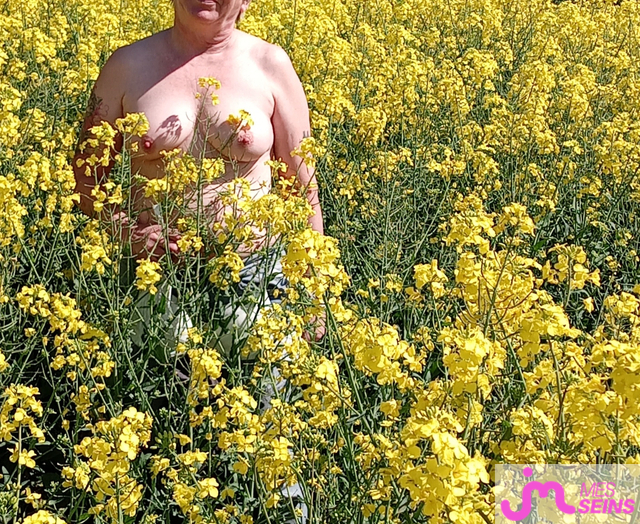 Les seins moyens de Loloprada