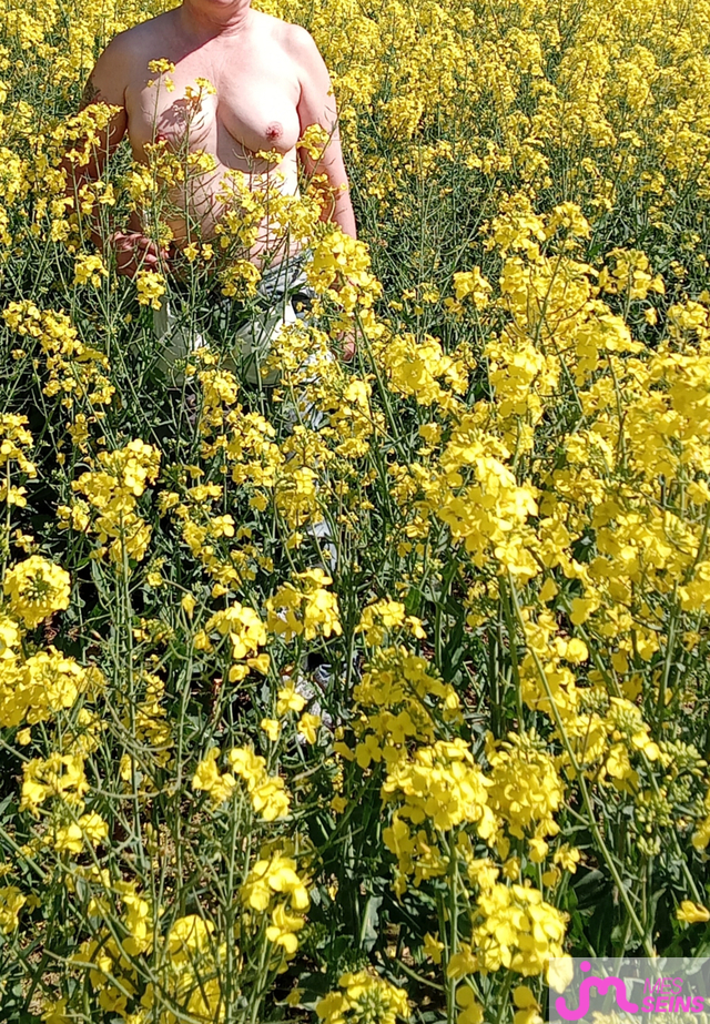 Les seins moyens de Loloprada