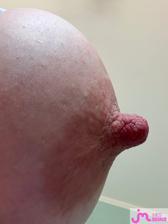 Les tr&egrave;s gros seins de Stefa