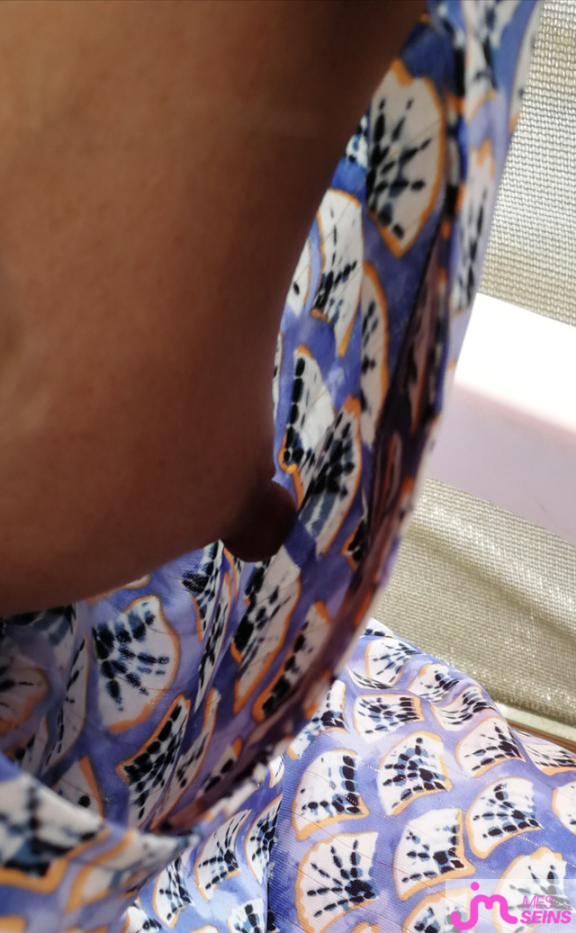 Les petits seins de Alain Firmier