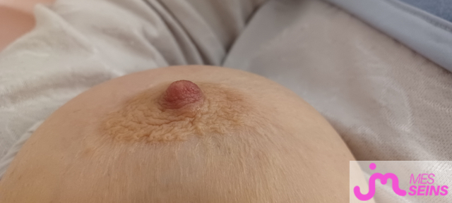 Les tr&egrave;s gros seins de jossedrome26