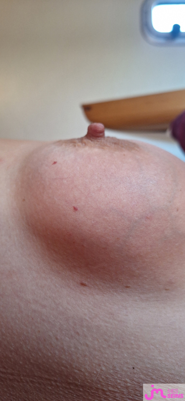 Les seins moyens de Voil'ou