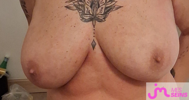 Les tr&egrave;s gros seins de vero49