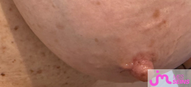 Les seins &eacute;normes de Greg17200